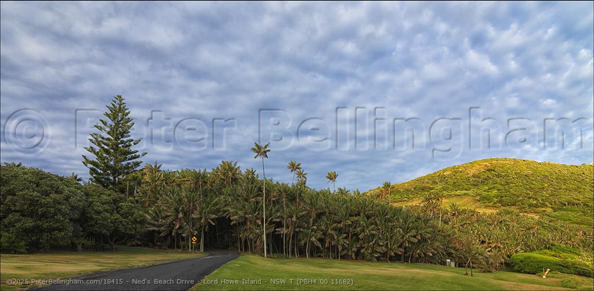 Peter Bellingham Photography Ned's Beach Drive - Lord Howe Island - NSW T (PBH4 00 11682)